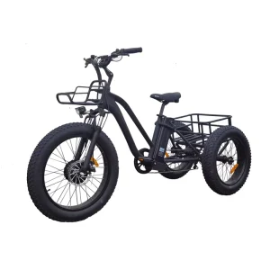 Power 48V 750W 3 Wheel Electric Cargo Bicycle 48V 17Ah Battery Cargo Ebike Fat Electric Cargo Bikes
