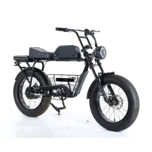 Powerful 48V Fat Tire Hybrid Electric Dirt Bike Long Range Off Road Rear Hub Motor Steel Lithium Battery 13Ah Dual Suspension