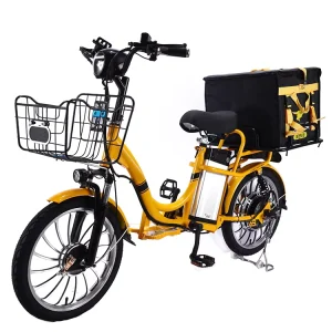 Powerful Cargo Bike 48v 750w 30ah Dual Battery Long Range Food Delivery Cargo Bicycle E Bike