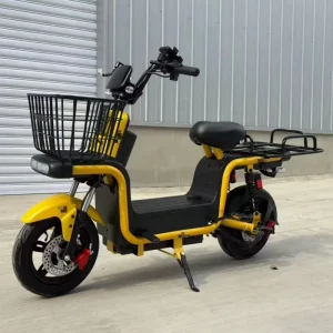 Powerful Cargo Delivery Electric Bicycle with Front and Rear Cargo Basket