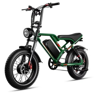 Powerful Dual Motor Electric Fat Tire Mountain Bike Hydraulic Disc Brakes Fat Tires for All Terrain Adventure Fast Commute