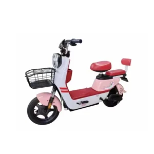 Powerful Electric Bicycles Electric Bike Fat Tire High Speed Electric Cycle