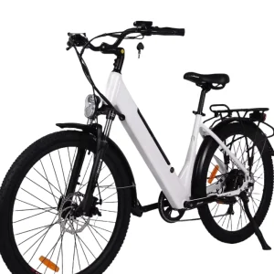 Powerful Electric Bikes Two Wheels Bicycles for Adult Urban Ebike City Electric Bicycle with Mid Drive for Lady Aluminum