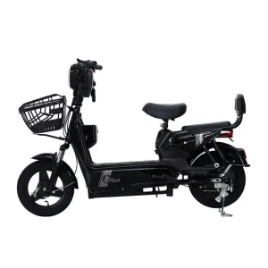Powerful Electrical Bicycles Electric Bike Bikes Electrical Motor Bike Fat Tire High Speed Electric Cycle