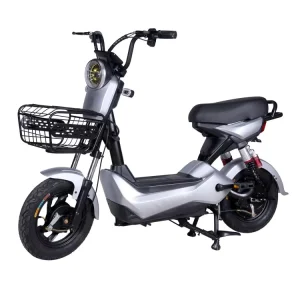 Powerful Electrical Bicycles Electric Bike Bikes From China Electrical Motor Bike Fat Tire High Speed Electric Cycle