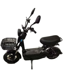 Powerful Electrical Bicycles Electric Bike Bikes From China Electrical Motor Bike Fat Tire High Speed Electric Cycle