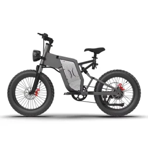 Powerful Electrical Bicycles Electric Bike Bikes From China Electrical Motor Bike Fat Tire High Speed Electric Cycle