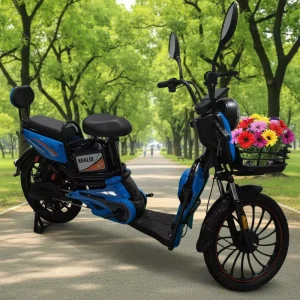Powerful Electrical Bicycles Electric Bike Bikes From China Electrical Motor Bike Fat Tire High Speed Electric Cycle