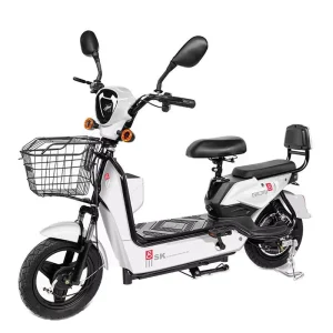 Premium 350W 48V Electric City Bike High Performance Electric Bicycle From Chinese Factory