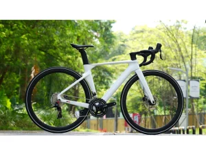 Price Disc Brake R10pro Sport Carbon Road Bike Road Bike 22speed Carbon 700c Racing Bicycle for Sale 50h Flat Carbon Wheel