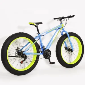 Professional Custom Sports Fat Tire Mountain Bike