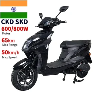 Professional Manufactured Electric Bike Electric Bike Moped with Pedal Electric Motorcycle 10inch 1000WCKD