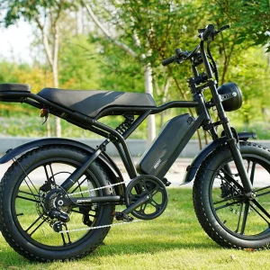 Puncture Resistant Tires fat boy Dual Suspension fat tire bicycle Kid Pick up Commute