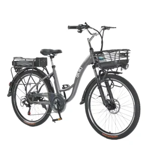 Q1 Retro Adult Model Power Assisted Electric Bicycle Stylish Touring Bike Lithium Battery Variable Speed Electric Mountain Bike