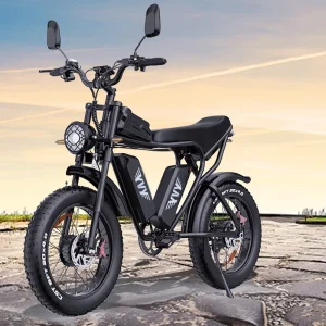 Q20Pro 52V 40Ah E MTB Bike Dual Motor Battery Fat Tire Electric Off Road Dirt Mountain Bike Electric Bicycle for Adults