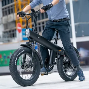 Q3 E-bicycle Bikes Mountain E-bike 20inch Fat Tire Fatbike 750w Ebike Bicycle Electric City Bike for Sale