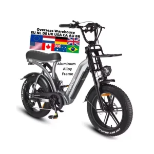 Q8 Fat Tire Mountain Bikes 20 Inches Electric Fat Bike V1 V5 Electric City Bikes