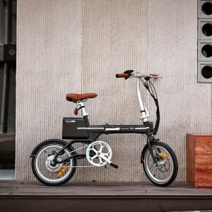 QIANJIANG MOA Latest 250W 36V Electric Fat Bike with Max Speed <40km/h for Adults