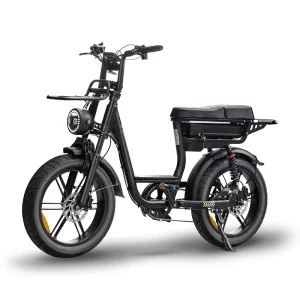QMWHEEL C28 Ebike Electric Mountain Bike V20 48V 20Inch Fat Tire Dual Disc Brake Design Urban & Short Trips Electric Hybrid Bike