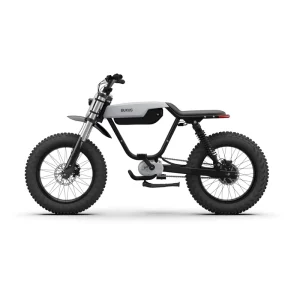Qianjiang MB01 Long Seat 48V Fat Bicycle Adult 2 Person Electric Motorcycle Under 40km/h 1000W Cocoa