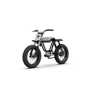 Qianjiang Model MB01 Stylish 48V Fat Bike for Adults Electric Bike with 1000W Power <40km/h Max Speed