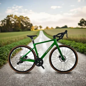 R5 2 OEM Lightweight Aluminum Racing Road Bike 20 Speed Hydraulic Disc Brake Latest Fashion Design