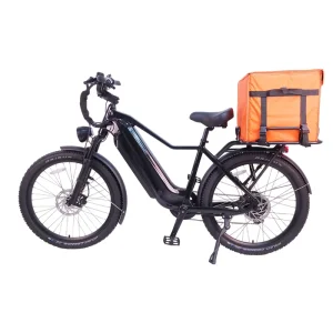 RE-03 Cargo Bike 26 Inch Ebike IOT Rental Food Delivery Ebike