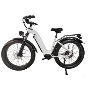 RX8 Electric Mountain Road Bike 48V 30Ah 350W Lithium Battery Motor for Women’s Cycling