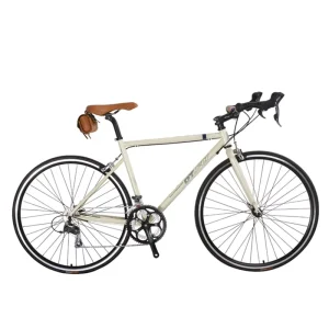 Racing Cycle Price for Men