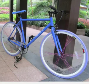 Racing Fixed Gear Sports Field Track Vehicle Bike Bicycle Fashion Men Women Back Riding Version