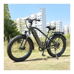 RaiderRover 31F 26*4.0 High-Power Electric Mountain eBike Electric Bicycle Electric Hybrid Bicycle Electric Fat-Tire Adult Bicycle