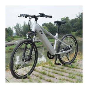 RaiderRover 601 26-Inch Electric Bicycle, Downhill Electric Road Bike, Electric Hybrid Bike, Electric Mountain Bike, 55 km/h
