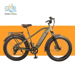 Raiderrover 34f Electric Mountain Bike Snow Electric Bicycle Long-Warranty Electric Hybrid Bike Electric Fat-Tire Adult Bicycle 48V