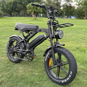 Ready Stock Electric Bicycle China Factory Price Fat Tire Cycle Electric City Bike Bicycles Electr