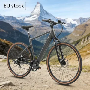 Ready To Ship Electric Bicycle Aluminum Frame 36V 10.4AH 25KM/H Off Road Dirt Ebike 7 Speed Electric Mountain Bike Road Ebike