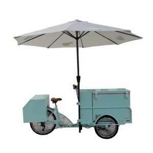 Refrigerated Cold Drinks Ice Cream Business Bike Commercial Bicycle