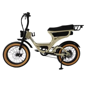 Removable Fat Bike 20-inch Fat Tire Electric Bicycle