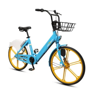 Rental Share Electric Bicycle E Bike