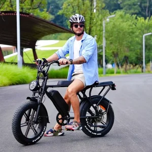 Retro 20 Inch Electric Fat Tire Bike Air Tire Disc Brake Adult Electric Bike with Rear Seat