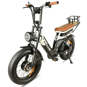 Retro 2000W Fat Tire Electric Bike 20 Inch 48V High Speed Snow E Bike for Adults Dual Disc Brake Mountain Electric Bicycle