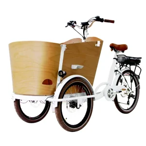 Retro American Families Enjoyed Electric Cargo Bike Factory Sale Directly with CE Certificate