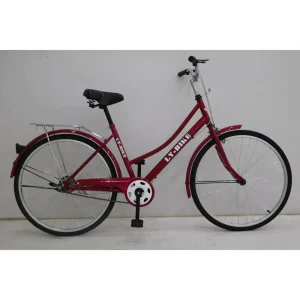 Retro City Bike OEM Girl 26″ Steel Frame Single Speed Urban Commuter Bicycle