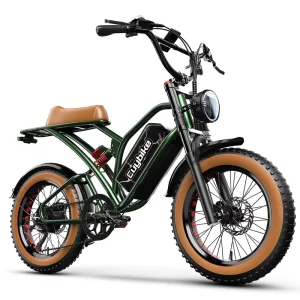Retro Cruiser Electric Bike Fast Long Range 1000W 48V Full Suspension Bafang Motor Adults Off Road Riding Steel Disc