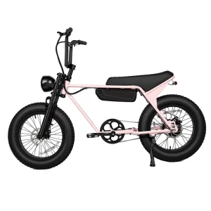 Retro Electric Bicycle Fat Tire 20 Inch Electric Bike With Powerful Motor Removable Battery EU US Stock