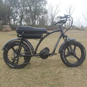 Retro Fat Tire Electric Bike 20 Inch Sport Pedal Assist Ebike 48V 12Ah 500W/750W Long Seat Off Road Electric Bicycle