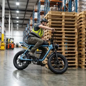 Retro Fat Tire Electric Bike with LCD Display Warehouse Dispatch Cruiser for Bulk Ready Ship Orders