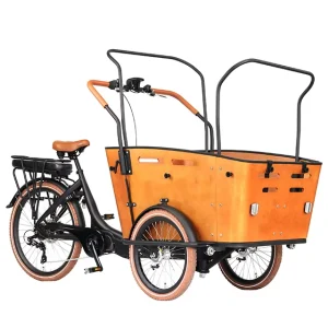 Retro Huge Space 36V 250W Electric Tricycle Cargo Bike with Three Wheels