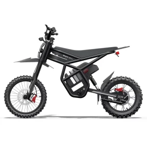 Ridingtimes GT54PRO CA USA Stock Electric Sport Fat Tire Bike Lithium Battery Frame Rear Hub Motor Off-Road Dirt EBike