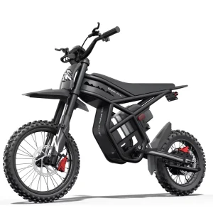 Ridingtimes GT54PRO Electric Bike Powerful 3000W 60v Electric Motorcycle Long Range Off Road Electric Dirt Bike Snowmobile