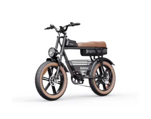 Ridstar Chopper Vintage Rear Hub Motor Adult E Bicycle Ebike 20 Inch Retro 48v Electric Fat Tire Beach Cruiser Bike